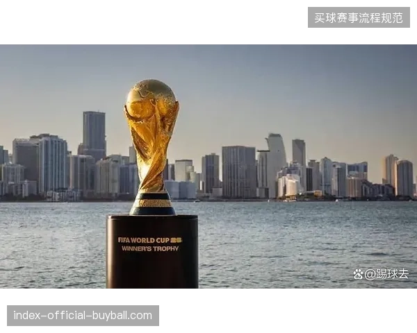 2026年世界杯场馆身份识别模型预示着未来全球大型体育盛会智能化管理的新终局